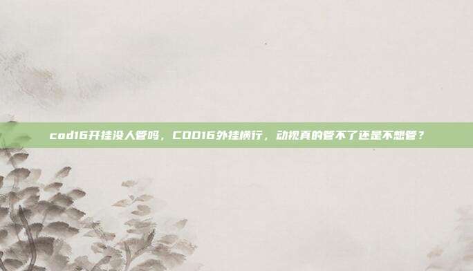 cod16开挂没人管吗,COD16外挂横行,动视真的管不了还是不想管?