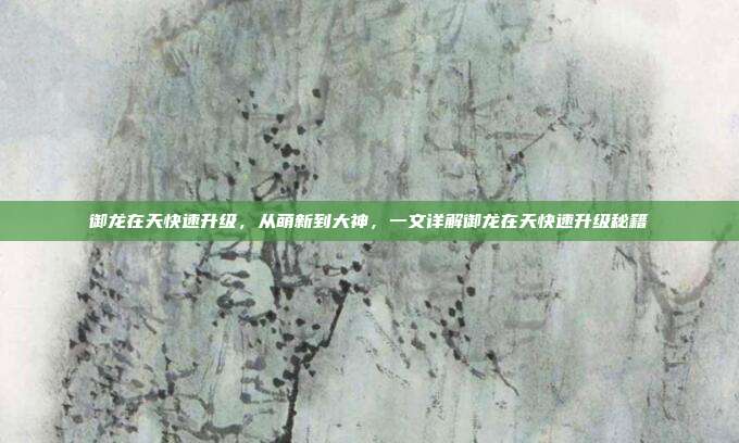 御龙在天快速升级,从萌新到大神,一文详解御龙在天快速升级秘籍