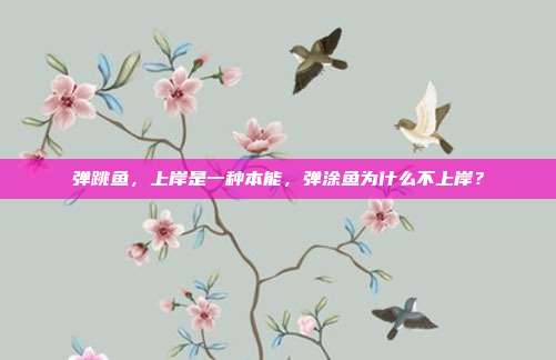 弹跳鱼,上岸是一种本能,弹涂鱼为什么不上岸?
