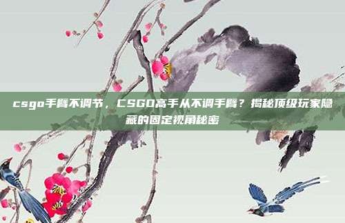 csgo手臂不调节,CSGO高手从不调手臂?揭秘顶级玩家隐藏的固定视角秘密