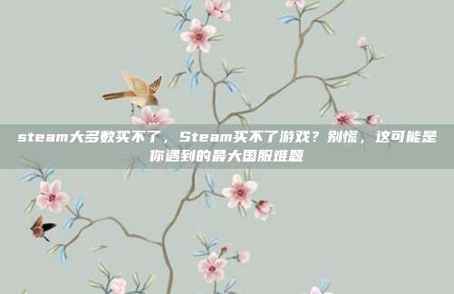 steam大多数买不了,Steam买不了游戏?别慌,这可能是你遇到的最大国服难题