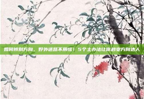 如何辨别方向,野外迷路不用慌!5个土办法让你秒变方向达人