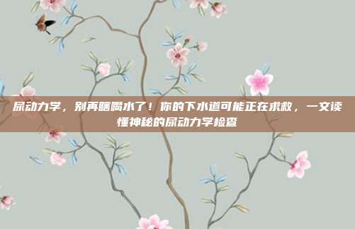 尿动力学,别再瞎喝水了!你的下水道可能正在求救,一文读懂神秘的尿动力学检查