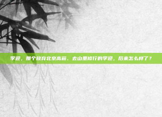 李迎,那个放弃北京高薪、去山里修行的李迎,后来怎么样了?