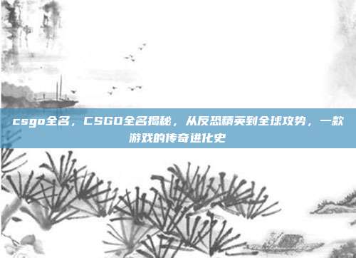 csgo全名,CSGO全名揭秘,从反恐精英到全球攻势,一款游戏的传奇进化史
