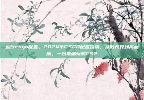 运行csgo配置,2024年CSGO配置指南,从低预算到高画质,一台电脑玩转CS2