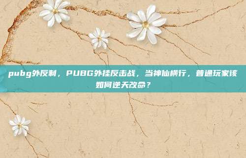 pubg外反制,PUBG外挂反击战,当神仙横行,普通玩家该如何逆天改命?