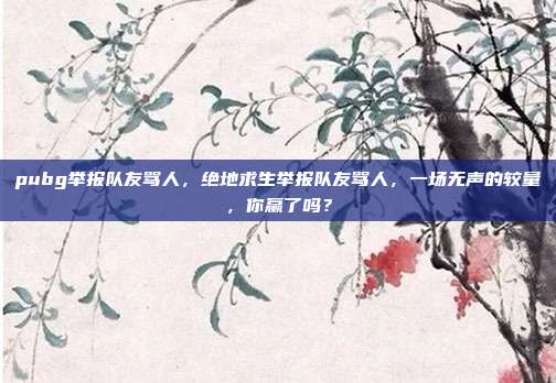 pubg举报队友骂人,绝地求生举报队友骂人,一场无声的较量,你赢了吗?
