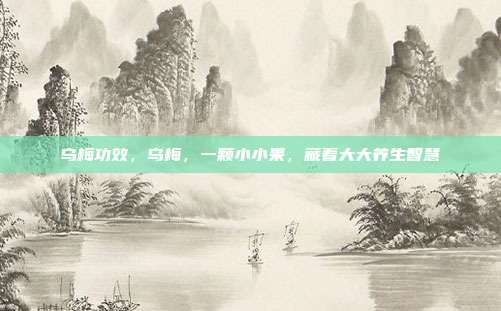 乌梅功效,乌梅,一颗小小果,藏着大大养生智慧