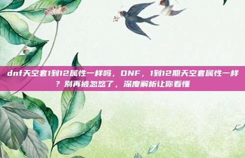 dnf天空套1到12属性一样吗,DNF,1到12期天空套属性一样?别再被忽悠了,深度解析让你看懂