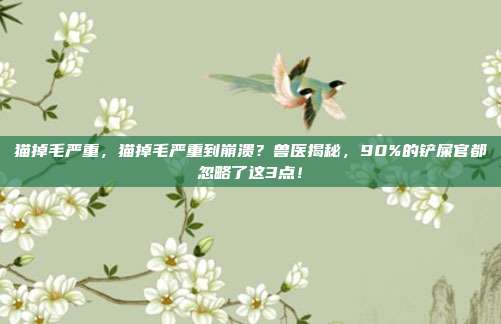 猫掉毛严重,猫掉毛严重到崩溃?兽医揭秘,90%的铲屎官都忽略了这3点!