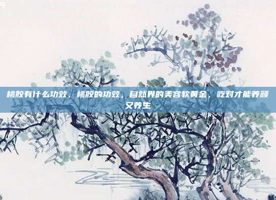 桃胶有什么功效,桃胶的功效,自然界的美容软黄金,吃对才能养颜又养生