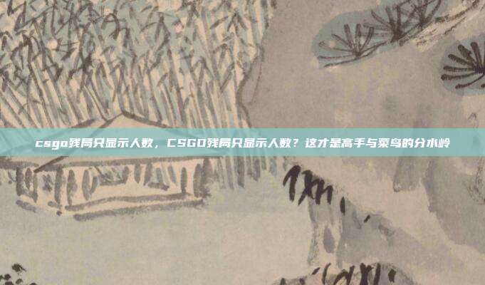 csgo残局只显示人数,CSGO残局只显示人数?这才是高手与菜鸟的分水岭