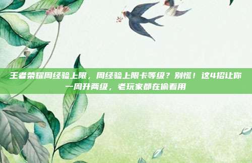王者荣耀周经验上限,周经验上限卡等级?别慌!这4招让你一周升两级,老玩家都在偷着用