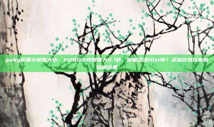 pubg设置小地图大小,PUBG小地图调大0.1秒,你能多活10分钟?资深吃鸡玩家的隐藏设置