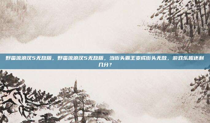 野蛮流浪汉5无敌版,野蛮流浪汉5无敌版,当街头霸王变成街头无敌,游戏乐趣还剩几分?