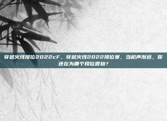 穿越火线排位2022cF，穿越火线2022排位赛，当枪声渐远，你还在为哪个段位渡劫？