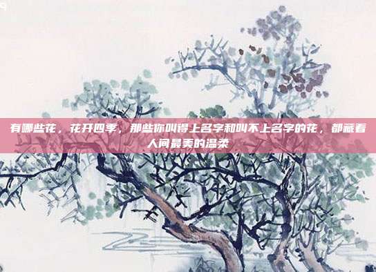 有哪些花,花开四季,那些你叫得上名字和叫不上名字的花,都藏着人间最美的温柔