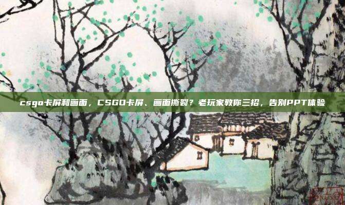 csgo卡屏和画面,CSGO卡屏、画面撕裂?老玩家教你三招,告别PPT体验