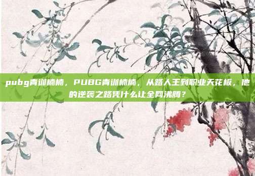 pubg青训楠楠,PUBG青训楠楠,从路人王到职业天花板,他的逆袭之路凭什么让全网沸腾?