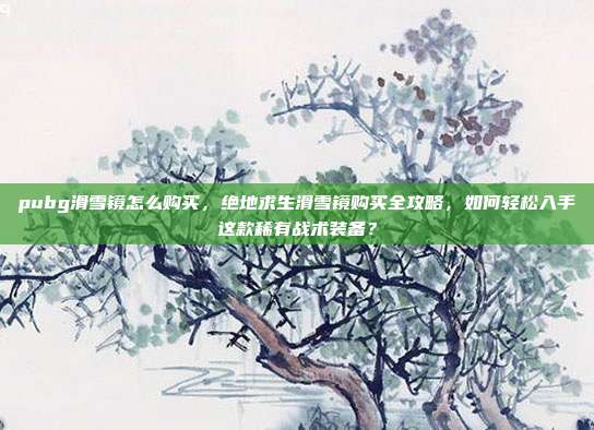 pubg滑雪镜怎么购买,绝地求生滑雪镜购买全攻略,如何轻松入手这款稀有战术装备?