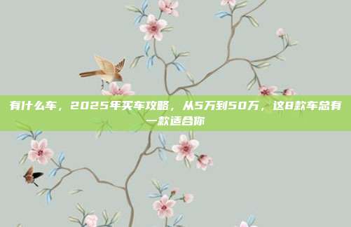 有什么车,2025年买车攻略,从5万到50万,这8款车总有一款适合你