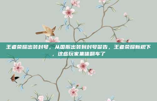 王者荣耀出装封号,从国服出装到封号警告,王者荣耀新规下,这些玩家集体翻车了