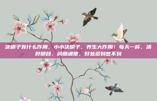 决明子有什么作用,小小决明子,养生大作用!每天一杯,清肝明目、润肠通便,好处多到想不到