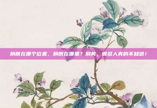 膀胱在哪个位置,膀胱在哪里?别笑,很多人真的不知道!