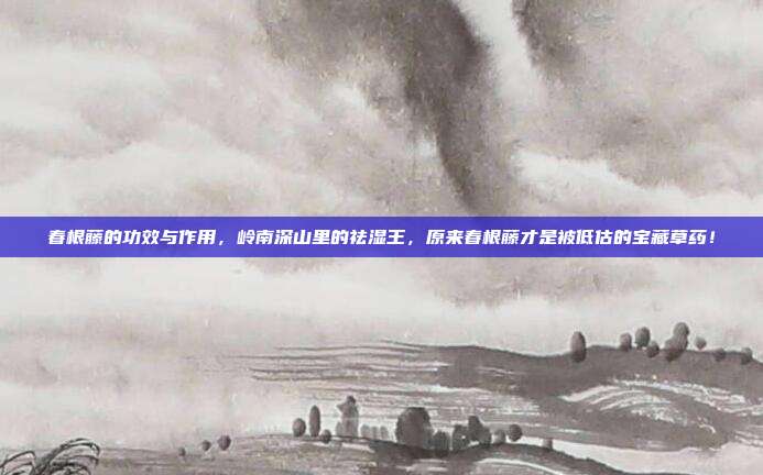 春根藤的功效与作用，岭南深山里的祛湿王，原来春根藤才是被低估的宝藏草药！