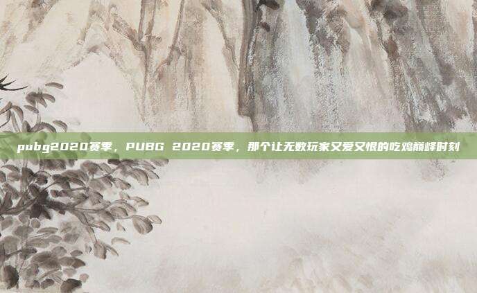 pubg2020赛季,PUBG 2020赛季,那个让无数玩家又爱又恨的吃鸡巅峰时刻
