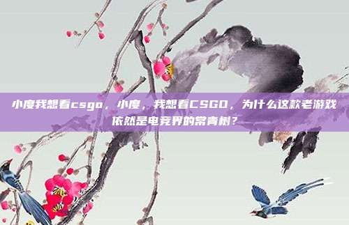 小度我想看csgo，小度，我想看CSGO，为什么这款老游戏依然是电竞界的常青树？