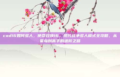 cod16如何多人,使命召唤16,现代战争多人模式全攻略,从菜鸟到高手的进阶之路