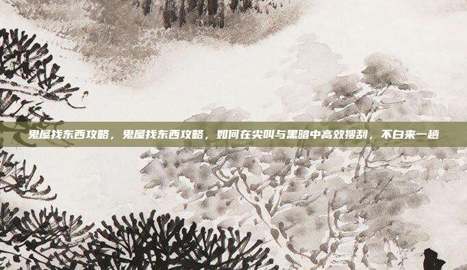 鬼屋找东西攻略，鬼屋找东西攻略，如何在尖叫与黑暗中高效搜刮，不白来一趟