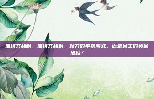 总统共和制，总统共和制，权力的单挑游戏，还是民主的黄金搭档？