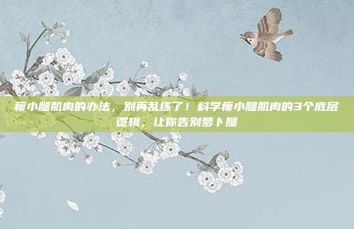 瘦小腿肌肉的办法,别再乱练了!科学瘦小腿肌肉的3个底层逻辑,让你告别萝卜腿