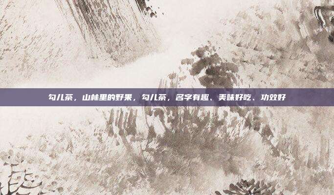勾儿茶,山林里的野果,勾儿茶,名字有趣、美味好吃、功效好