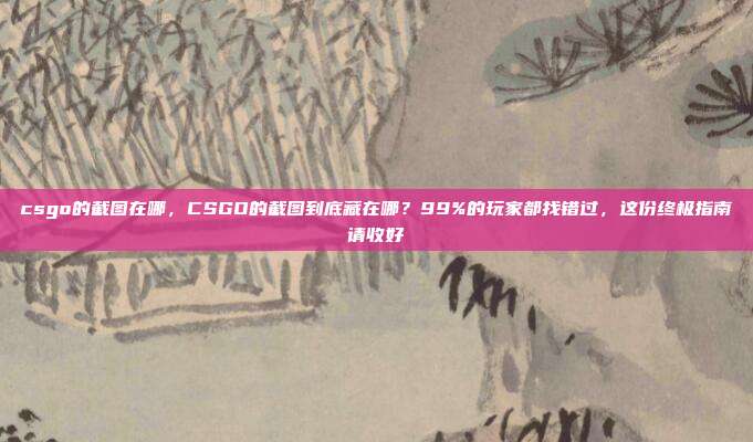 csgo的截图在哪,CSGO的截图到底藏在哪?99%的玩家都找错过,这份终极指南请收好