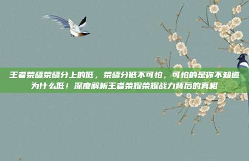 王者荣耀荣耀分上的低,荣耀分低不可怕,可怕的是你不知道为什么低!深度解析王者荣耀荣耀战力背后的真相