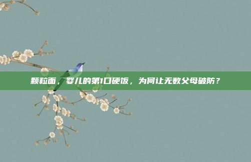 颗粒面,婴儿的第1口硬饭,为何让无数父母破防?