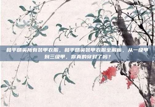 和平精英所有装甲衣服,和平精英装甲衣服全解析,从一级甲到三级甲,你真的穿对了吗?