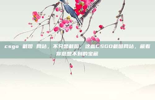 csgo 截图 网站,不只是截图,这些CSGO截图网站,藏着你意想不到的宝藏