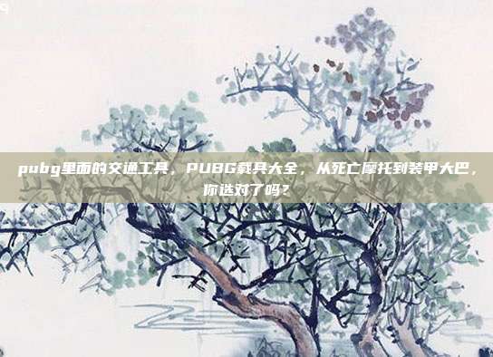 pubg里面的交通工具,PUBG载具大全,从死亡摩托到装甲大巴,你选对了吗?
