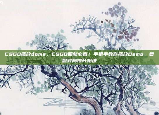CSGO播放dome,CSGO萌新必看!手把手教你播放Demo,复盘对局提升枪法