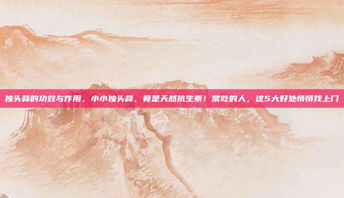 独头蒜的功效与作用,小小独头蒜,竟是天然抗生素!常吃的人,这5大好处悄悄找上门