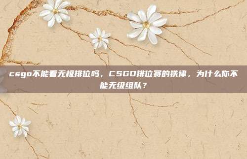 csgo不能看无极排位吗,CSGO排位赛的铁律,为什么你不能无级组队?