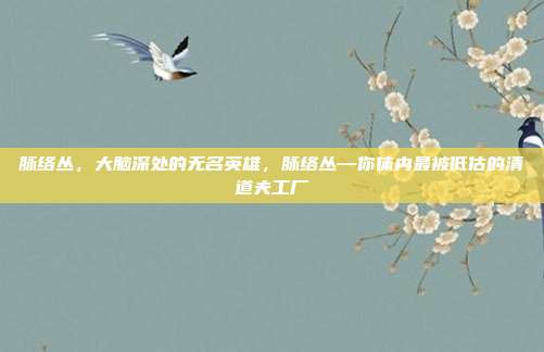 脉络丛,大脑深处的无名英雄,脉络丛—你体内最被低估的清道夫工厂