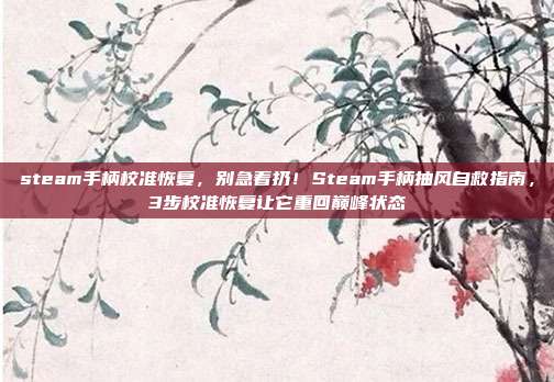 steam手柄校准恢复,别急着扔!Steam手柄抽风自救指南,3步校准恢复让它重回巅峰状态