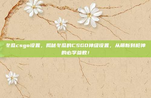 冬瓜csgo设置,揭秘冬瓜的CSGO神级设置,从萌新到枪神的必学参数!