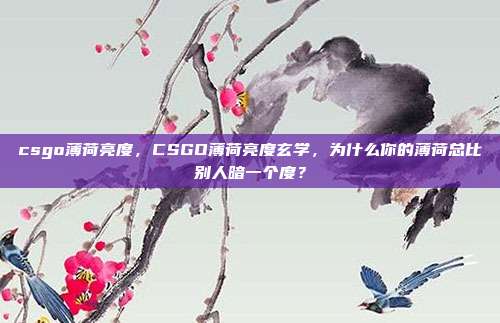 csgo薄荷亮度,CSGO薄荷亮度玄学,为什么你的薄荷总比别人暗一个度?